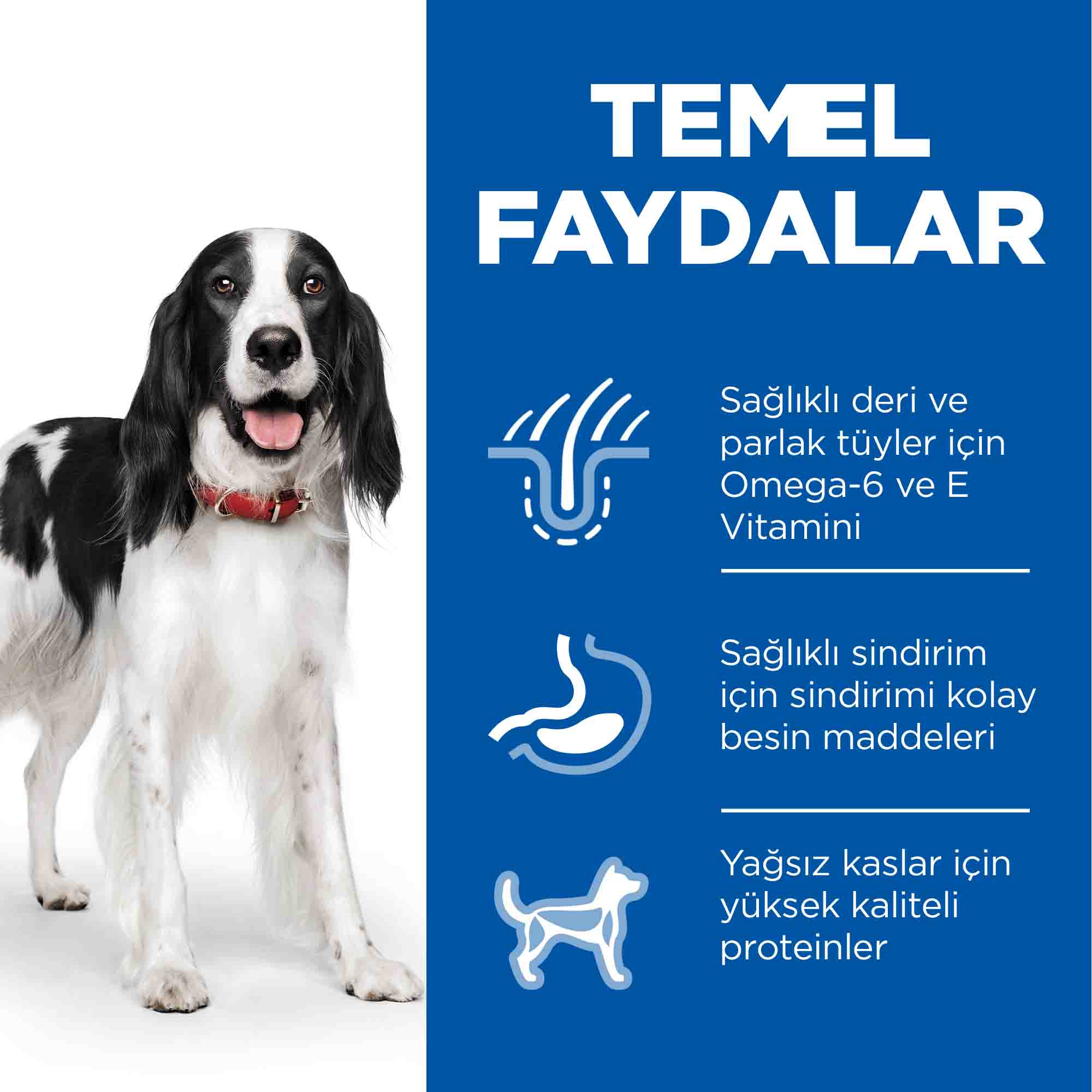 Hills Tavuklu Orta Irk Yetişkin Köpek Maması 2,5kg