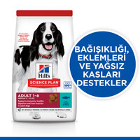 Hills Ton Balıklı Orta Irk Yetişkin Köpek Maması 2,5kg - Thumbnail