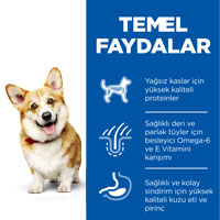 Hills Kuzu Eti ve Pirinçli Küçük Irk Yetişkin Köpek Maması 6kg - Thumbnail