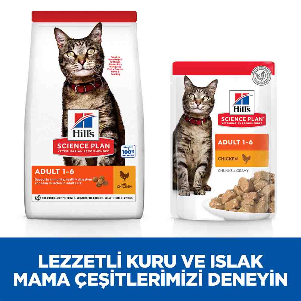 Hills Adult Tavuklu Yetişkin Kedi Maması 3kg