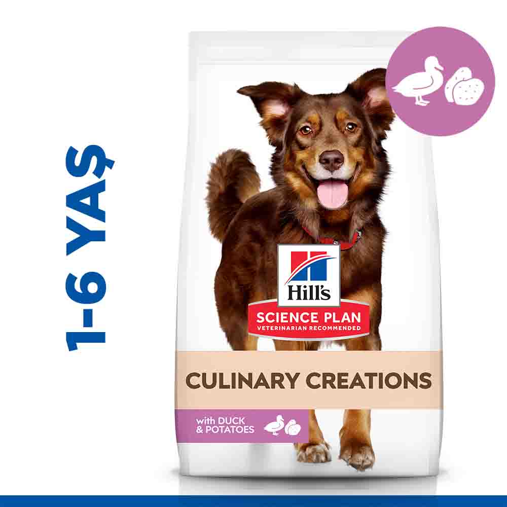 Hills Culinary Creations Ördekli ve Patatesli Orta Irk Yetişkin Köpek Maması 14kg