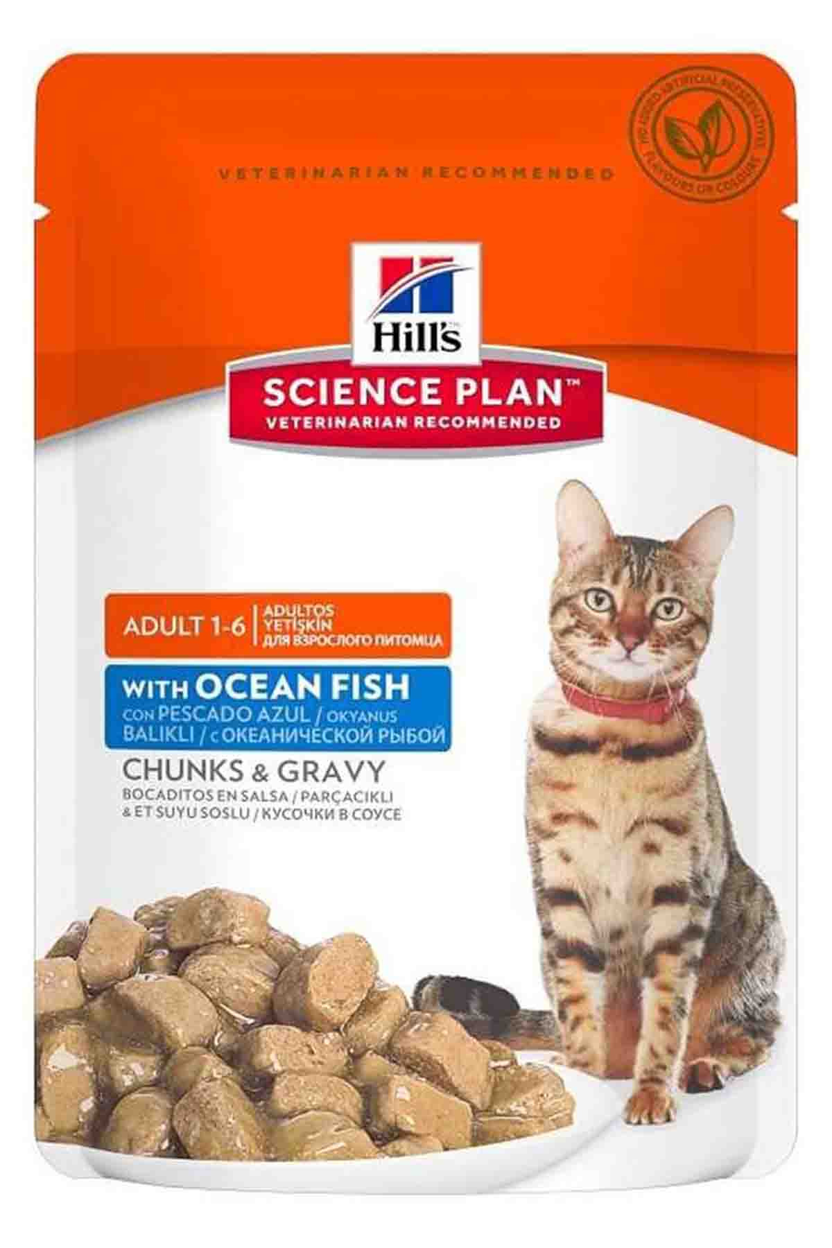 Hills Gravy Okyanus Balıklı Kedi Konservesi 85gr