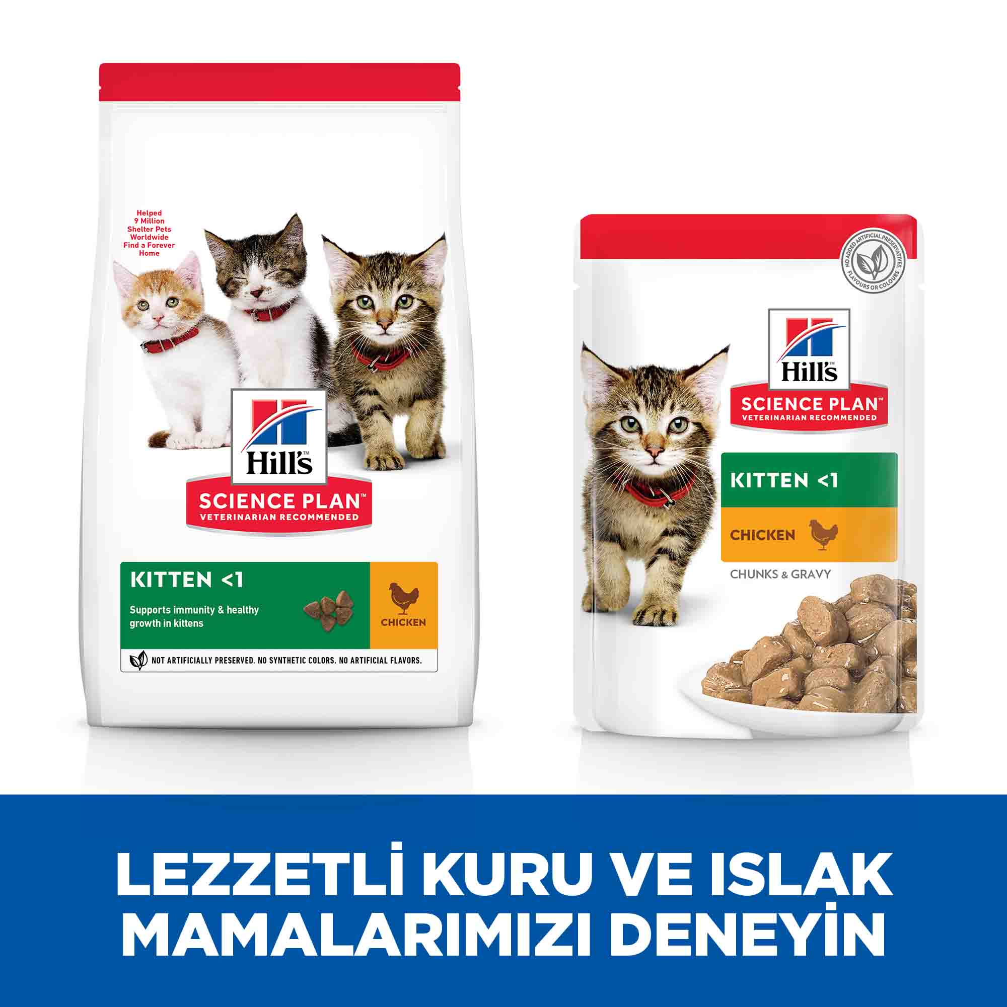 Hills Kitten Tavuklu Yavru Kedi Maması 3kg