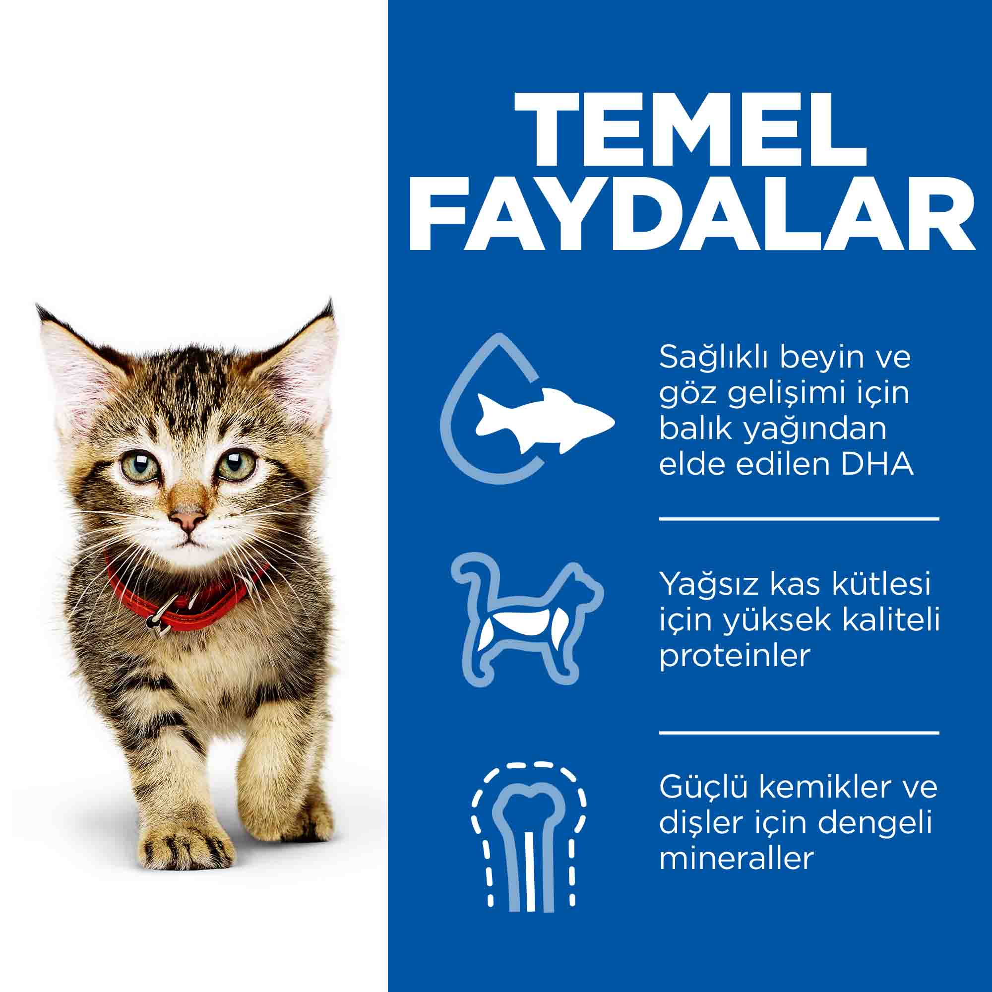 Hills Kitten Ton Balıklı Yavru Kedi Maması 1,5kg