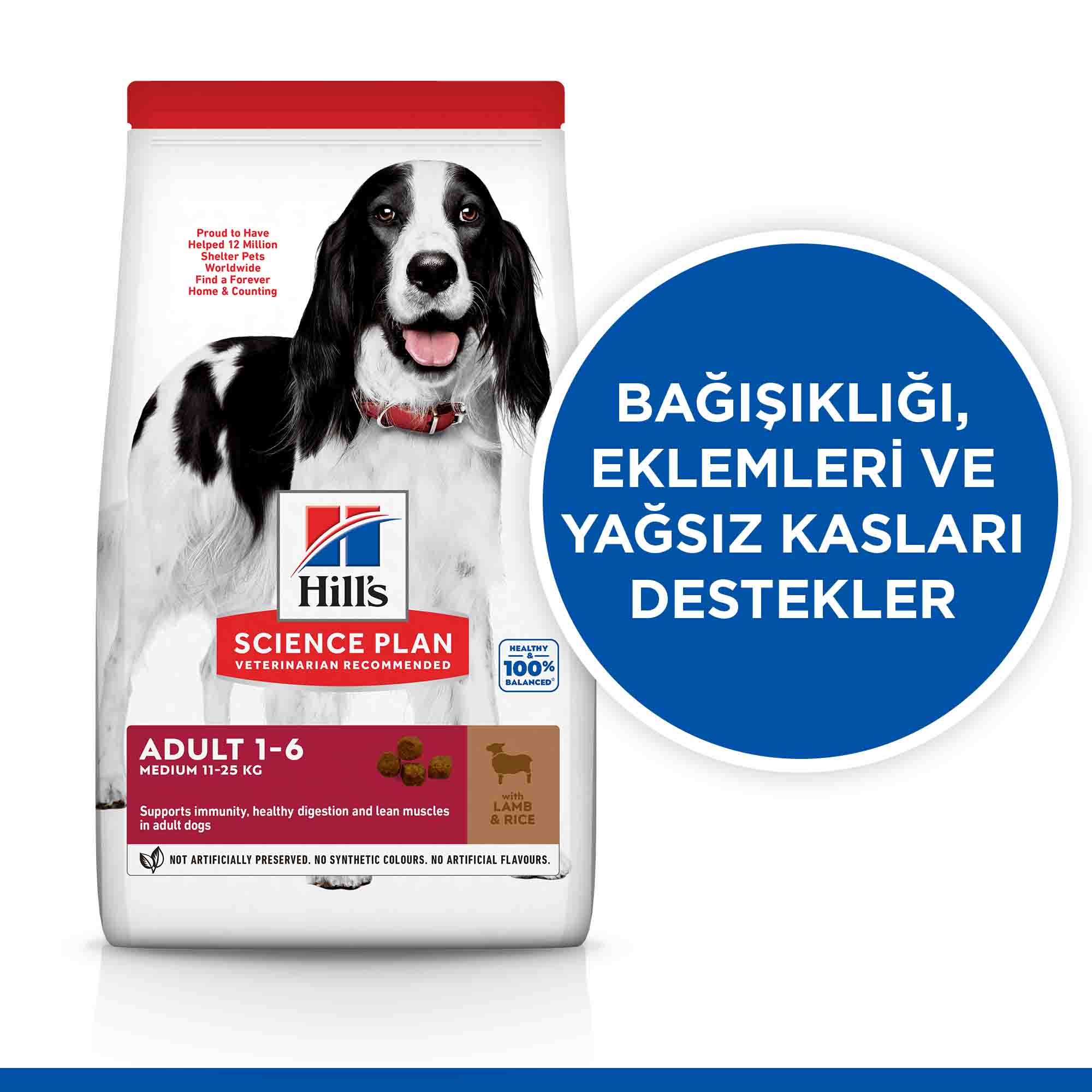 Hills Kuzu Eti ve Pirinçli Orta Irk Yetişkin Köpek Maması 14kg