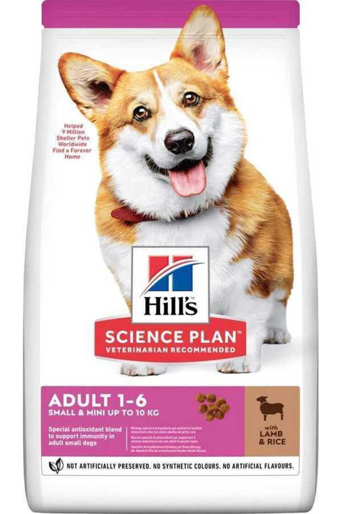 Hills Kuzu Eti ve Pirinçli Küçük Irk Yetişkin Köpek Maması 1,5kg