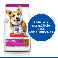 Hills Kuzu Eti ve Pirinçli Küçük Irk Yetişkin Köpek Maması 1,5kg - Thumbnail