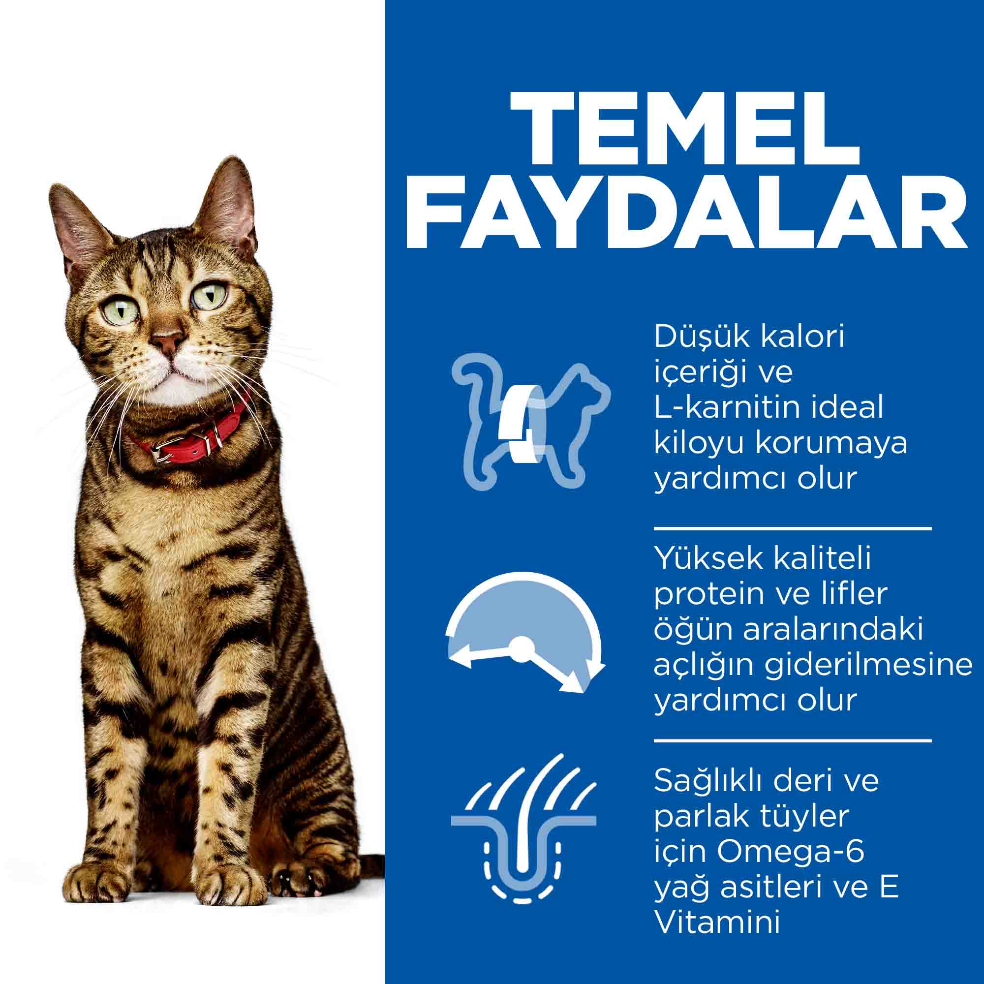 Hills Light Düşük Kalorili Tavuklu Yetişkin Kedi Maması 1,5kg