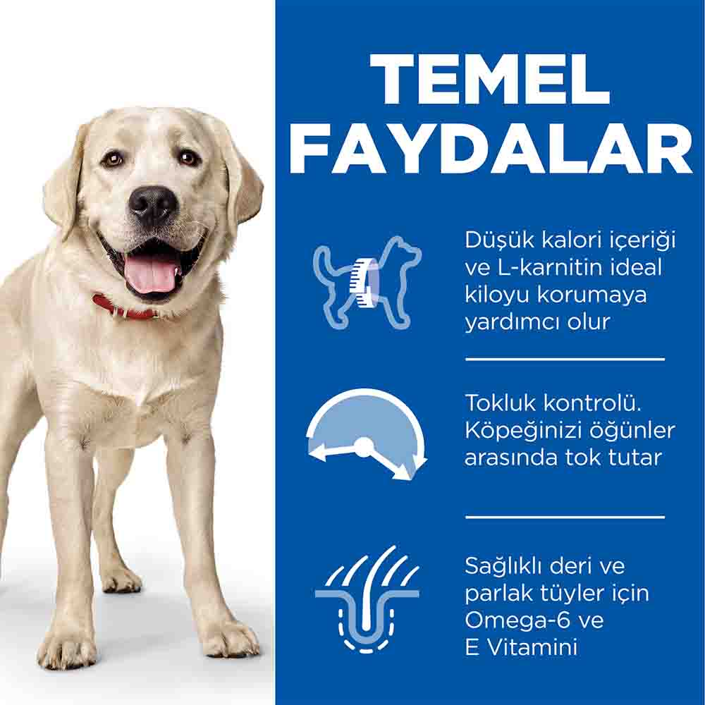 Hills Light Tavuklu Büyük ve İri Irk Yetişkin Köpek Maması 14kg