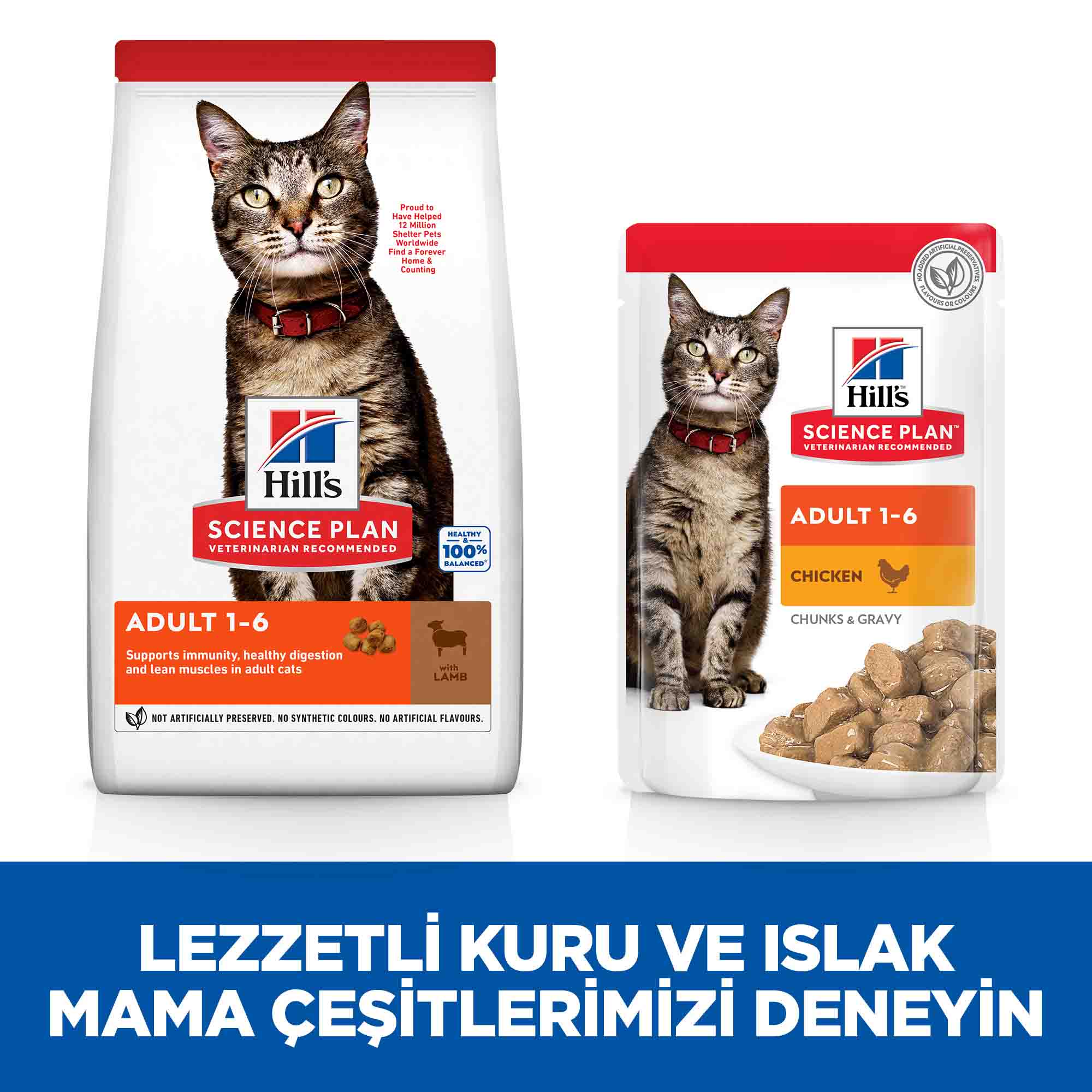 Hills Adult Kuzu Etli Yetişkin Kedi Maması 3kg