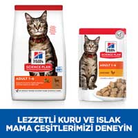 Hills Adult Kuzu Etli Yetişkin Kedi Maması 10kg - Thumbnail