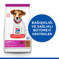 Hills Puppy Kuzu Etli Küçük Irk Yavru Köpek Maması 6kg - Thumbnail