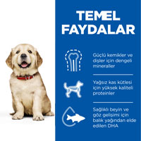 Hills Puppy Tavuklu Büyük ve İri Irk Yavru Köpek Maması 14,5kg - Thumbnail