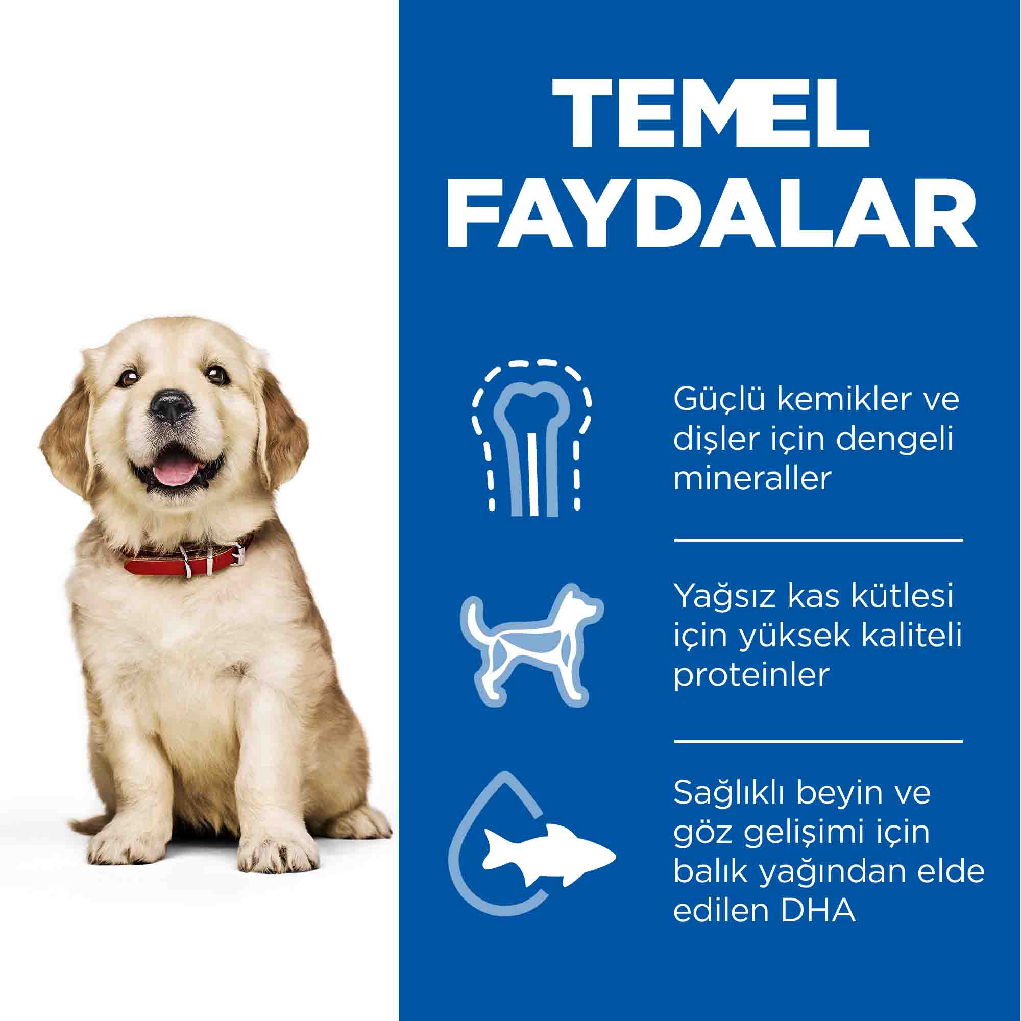 Hills Puppy Tavuklu Büyük ve İri Irk Yavru Köpek Maması 14,5kg