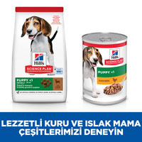 Hills Puppy Kuzu Etli Orta Irk Yavru Köpek Maması 2,5kg - Thumbnail