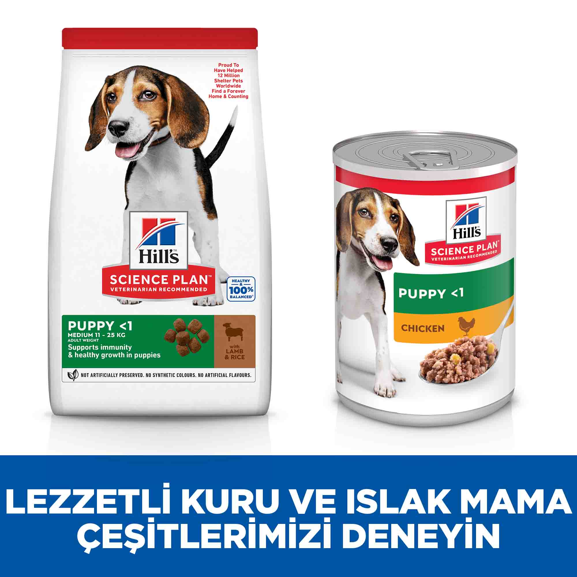 Hills Puppy Kuzu Etli Orta Irk Yavru Köpek Maması 2,5kg