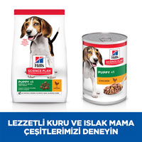 Hills Puppy Tavuklu Orta Irk Yavru Köpek Maması 14kg - Thumbnail