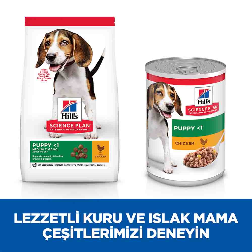 Hills Puppy Tavuklu Orta Irk Yavru Köpek Maması 14kg