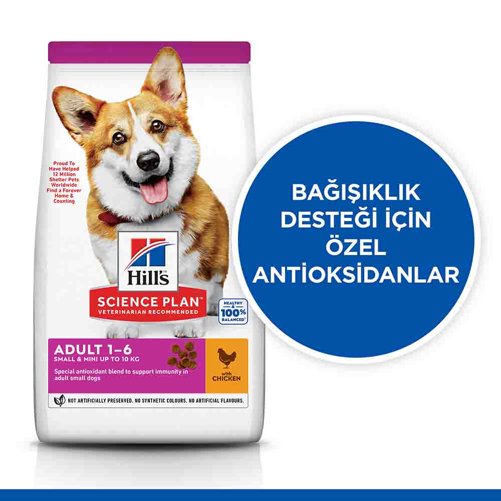 Hills Tavuklu Küçük Irk Yetişkin Köpek Maması 6kg