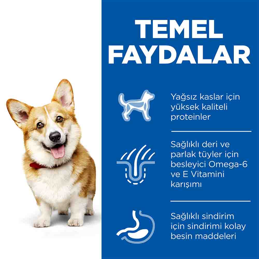 Hills Tavuklu Küçük Irk Yetişkin Köpek Maması 6kg