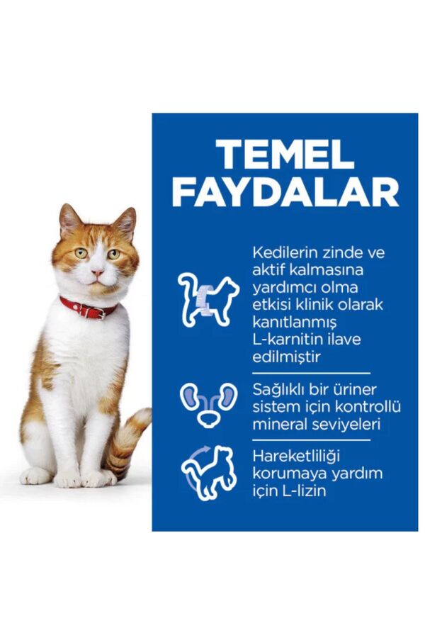 Hills Somonlu Kısırlaştırılmış Yetişkin Kedi Maması 3kg