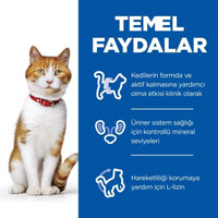 Hills Tavuklu Kısırlaştırılmış Yetişkin Kedi Maması 8kg +2kg HEDİYE - Thumbnail