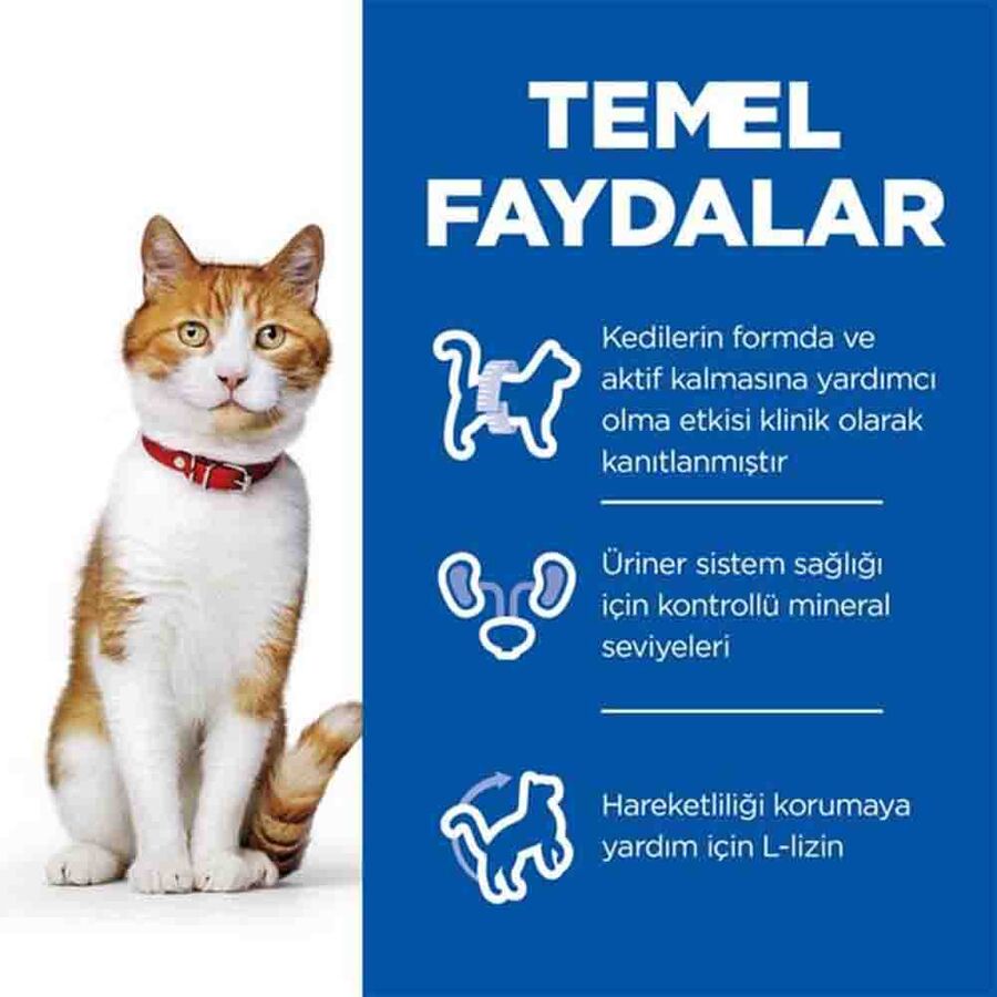 Hills Ördek Etli Kısırlaştırılmış Kedi Maması 10kg