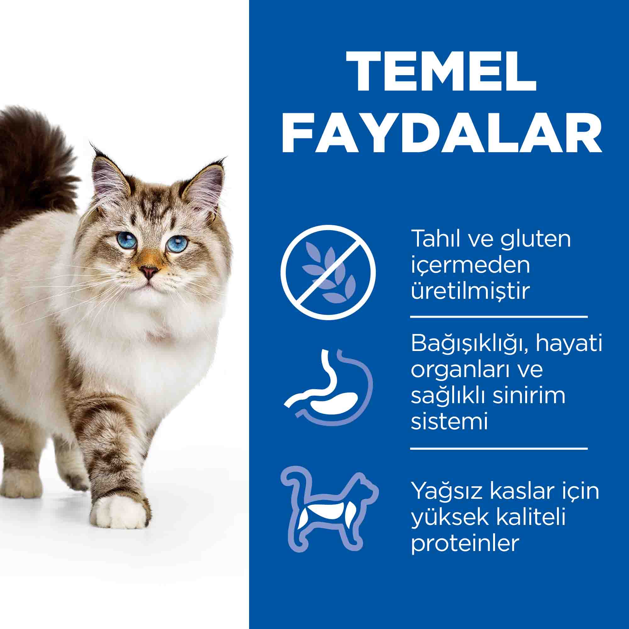 Hills Tahılsız Tavuklu Yetişkin Kedi Maması 1,5 Kg