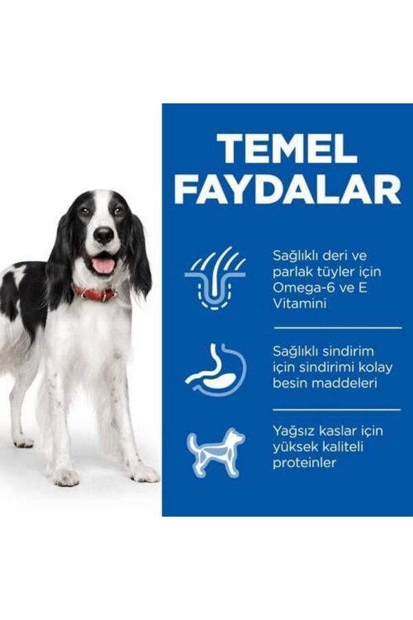 Hills Tavuklu Orta Irk Yetişkin Köpek Konservesi 370gr