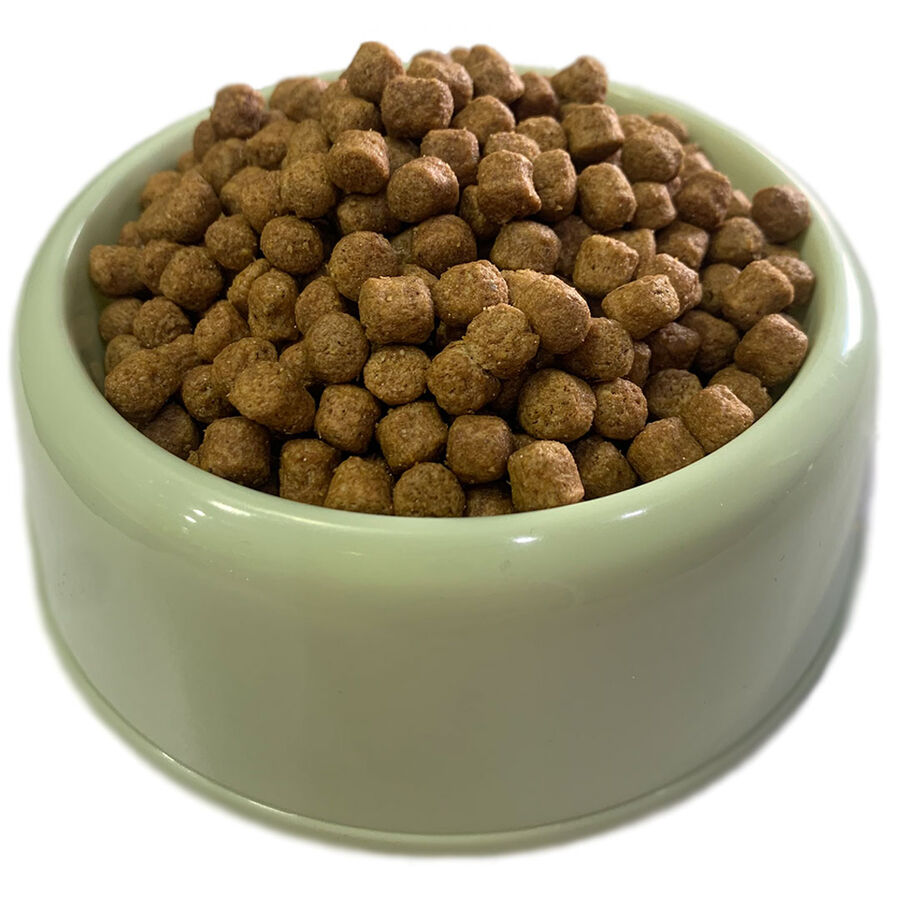 Can Dostlarımız için Mama 100gr
