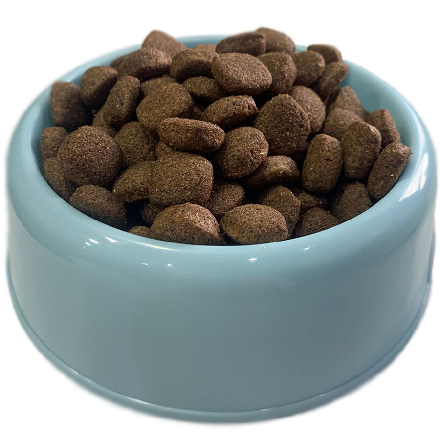 Can Dostlarımız için Mama 100gr