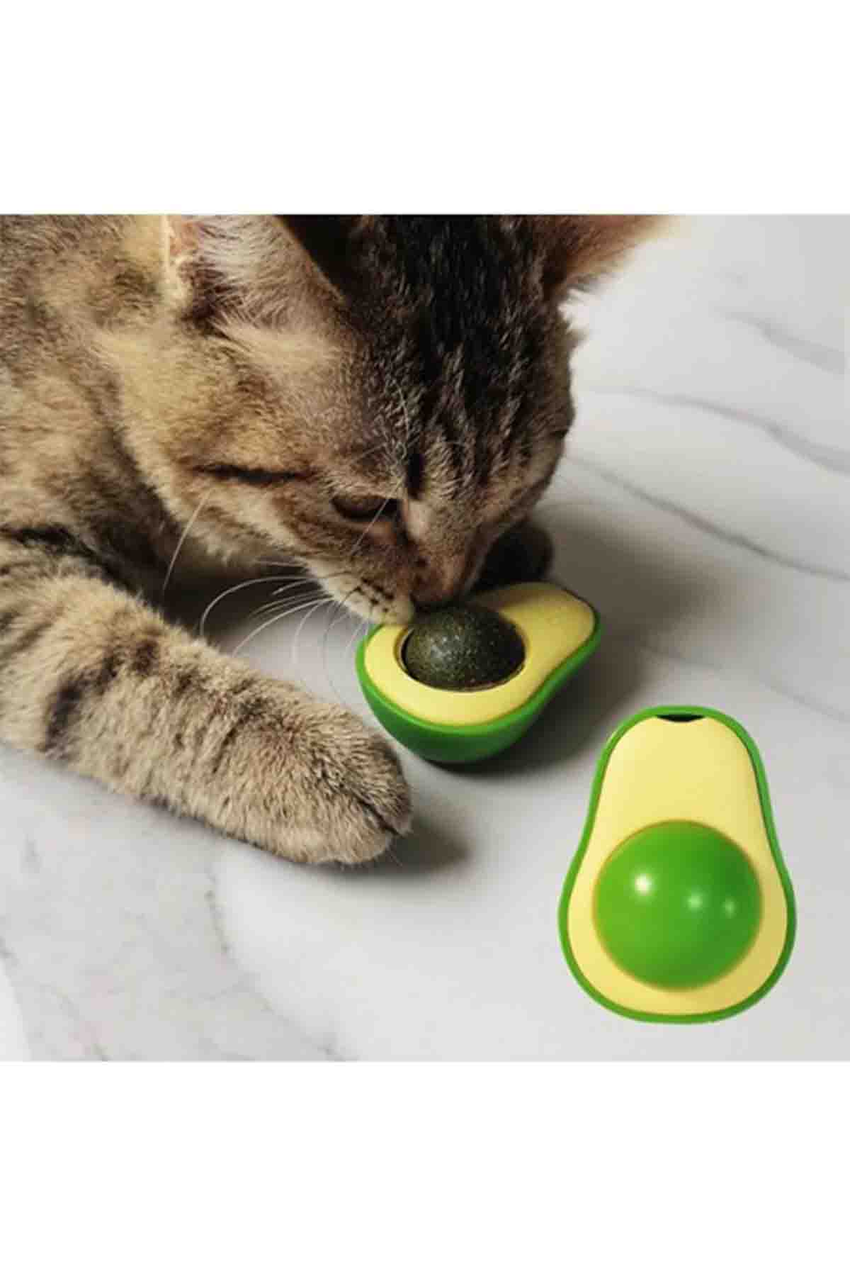 LifeMiya Catnipli Avokado Şeklinde Kedi Nanesi Oyuncağı