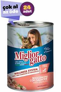 MIGLIOR GATTO - Miglior Gatto Somonlu Yetişkin Kedi Konservesi 24x405gr (24lü)