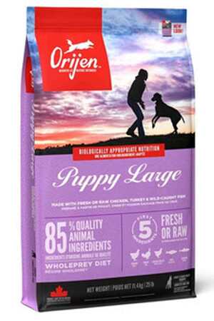 Orijen Puppy Large Tahılsız Büyük Irk Yavru Köpek Maması 11,4kg - Thumbnail