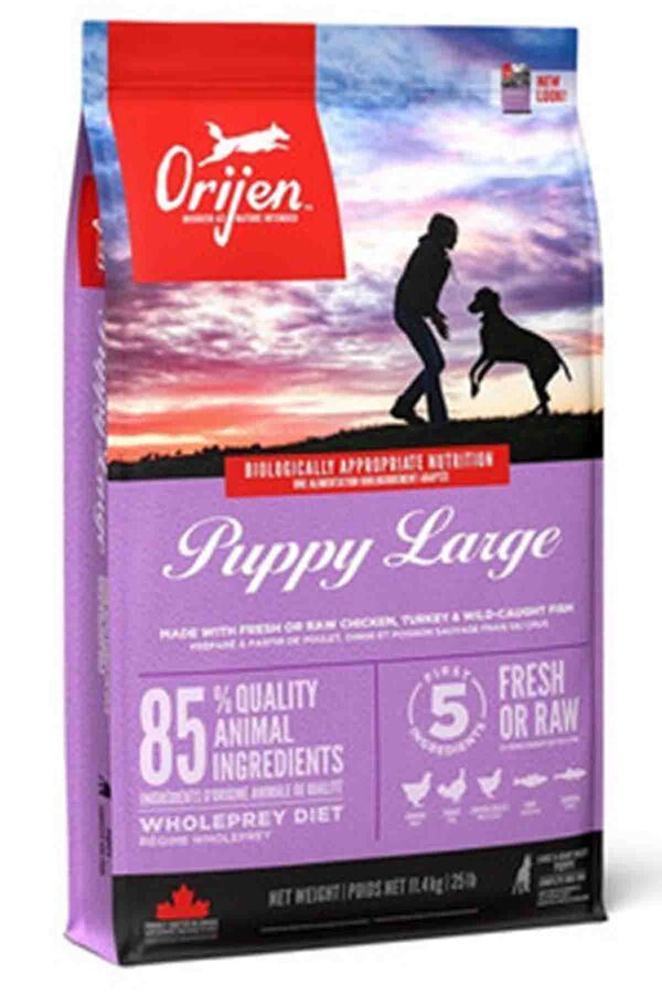 Orijen Puppy Large Tahılsız Büyük Irk Yavru Köpek Maması 11,4kg