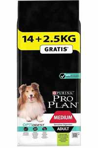 Pro Plan Kuzu Etli Orta Irk Yetişkin Köpek Maması 14kg +2,5kg HEDİYE! - Thumbnail