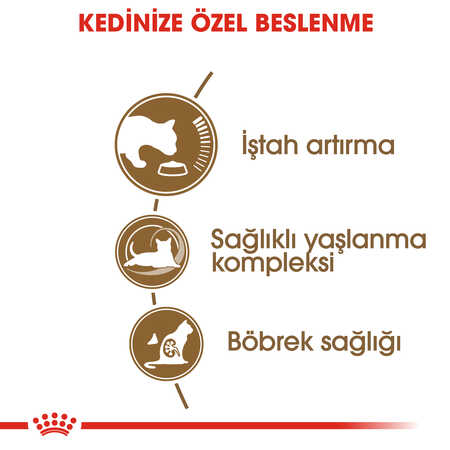 Royal Canin Ageing +12 Yaş Üzeri Yaşlı Kedi Maması 2kg - Thumbnail