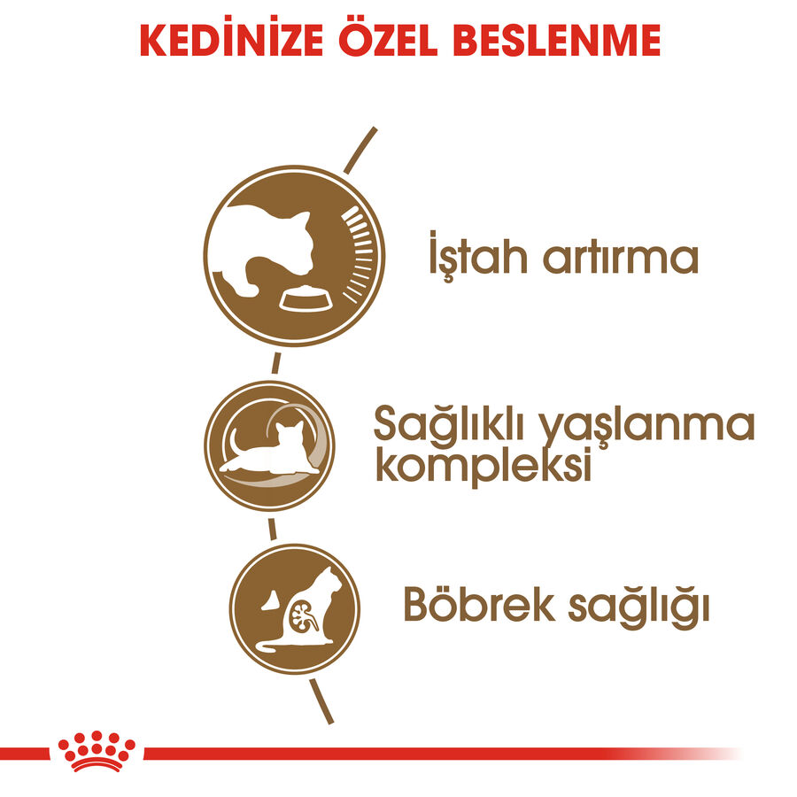 Royal Canin Ageing +12 Yaş Üzeri Yaşlı Kedi Maması 2kg