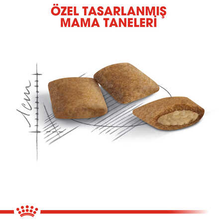 Royal Canin Ageing +12 Yaş Üzeri Yaşlı Kedi Maması 2kg - Thumbnail