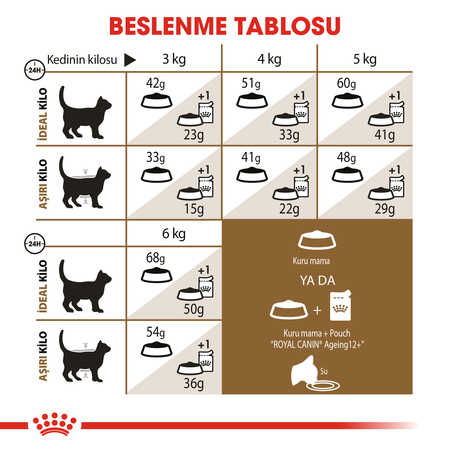 Royal Canin Ageing +12 Yaş Üzeri Yaşlı Kedi Maması 2kg - Thumbnail