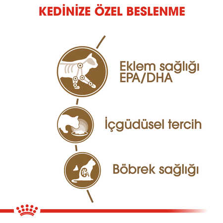 Royal Canin 12 Yaş Üzeri Yaşlı Kediler için Kedi Konservesi 85gr - Thumbnail