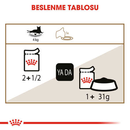 Royal Canin 12 Yaş Üzeri Yaşlı Kediler için Kedi Konservesi 85gr - Thumbnail