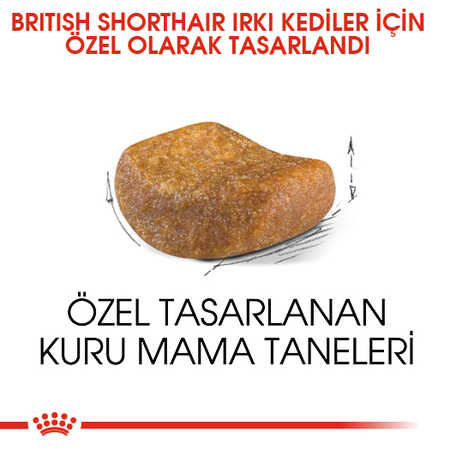 Royal Canin British Shorthair Adult Yetişkin Kedi Maması 10kg - Thumbnail