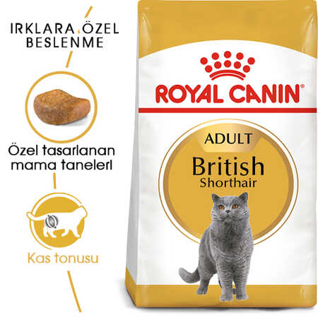 Royal Canin British Shorthair Adult Yetişkin Kedi Maması 10kg - Thumbnail