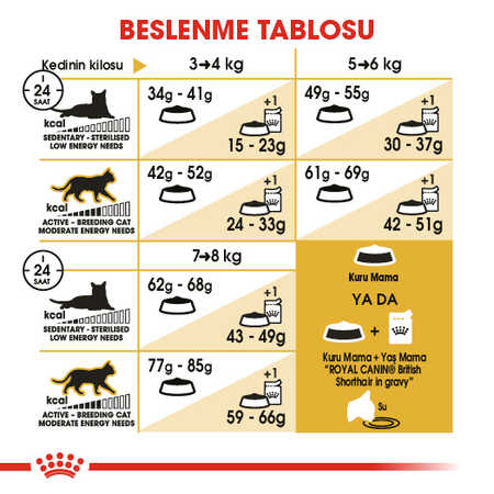 Royal Canin British Shorthair Adult Yetişkin Kedi Maması 10kg - Thumbnail