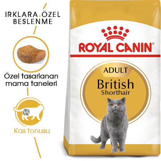 Royal Canin British Shorthair Adult Yetişkin Kedi Maması 10kg
