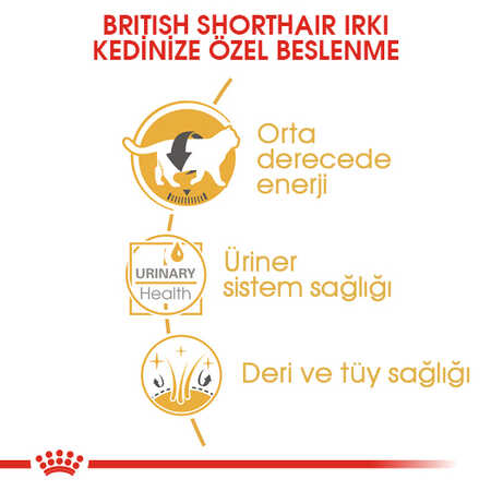 Royal Canin British Shorthair Yetişkin Kedi Konservesi 85gr - Thumbnail
