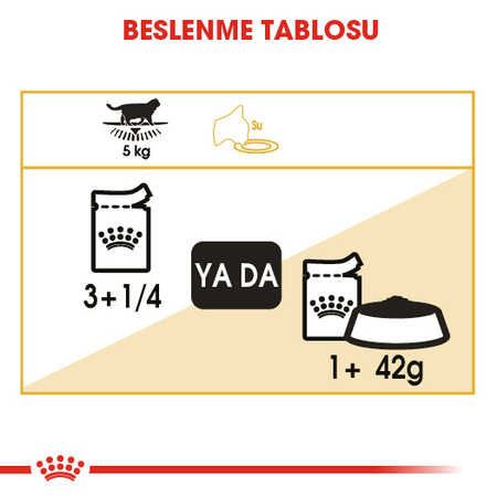 Royal Canin British Shorthair Yetişkin Kedi Konservesi 85gr - Thumbnail