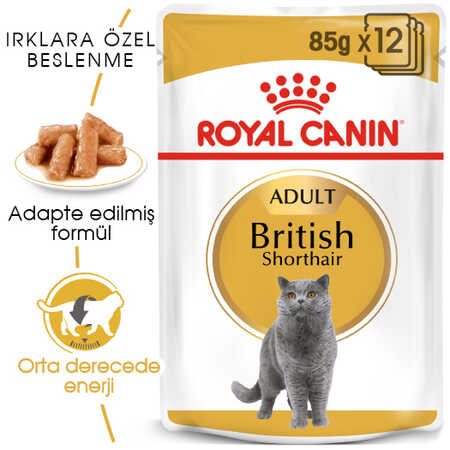 Royal Canin British Shorthair Yetişkin Kedi Konservesi 85gr - Thumbnail