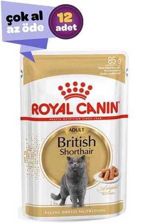 ROYAL CANIN - Royal Canin British Shorthair Yetişkin Kedi Konservesi 12x85gr (12li)